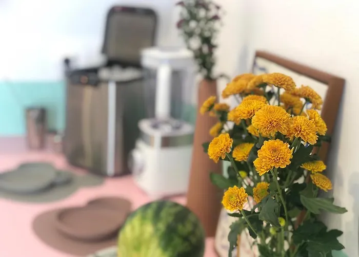 Holy Summer In Market Streets Науса